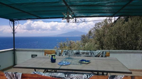 Villa L'ulivina Sorrento